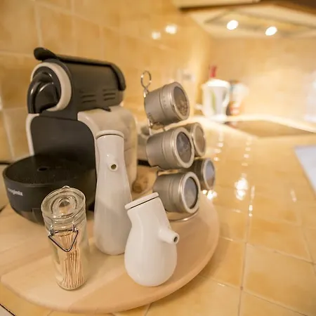 公寓 康奈克辛苏克风格公寓 戛纳